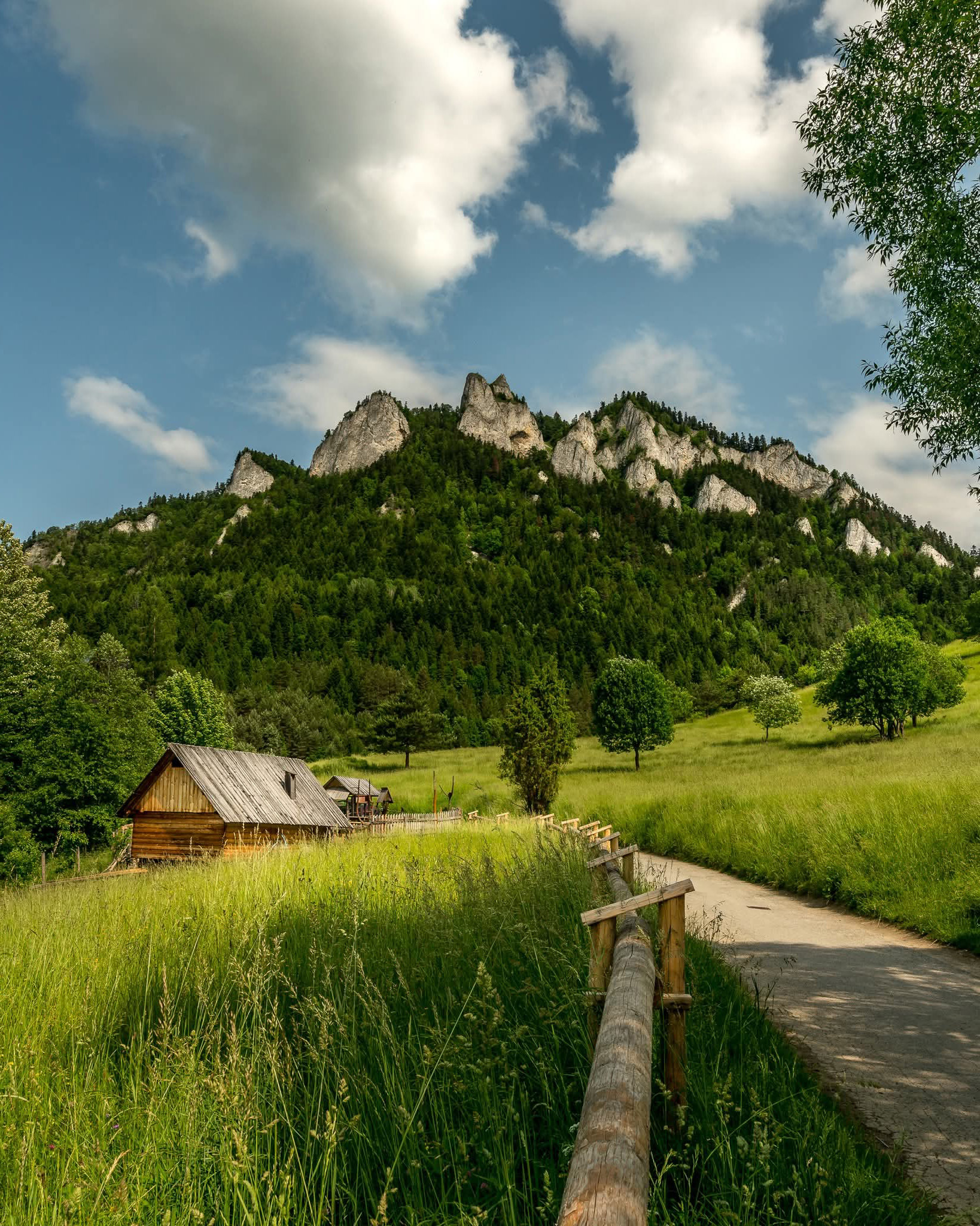 2. Rygar 13.9.2025 - Frankie-1759050179315.png